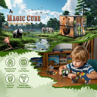 2 In 1 Animal Style Star Cube Magic Cube Set For Kid And Adult Toy Ages 8-12