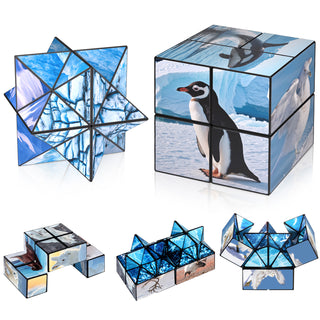 2 In 1 North South Poles Style Star Magic Cube For Kid And Adult Toy Ages 8-12
