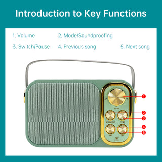 Mini Wireless Bluetooth Speaker 10W Power Home Theater Dual Microphone Speaker