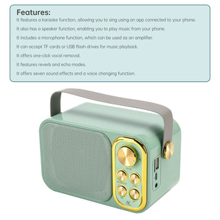 Mini Wireless Bluetooth Speaker 10W Power Home Theater Dual Microphone Speaker