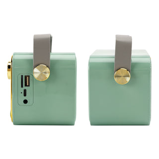 Mini Wireless Bluetooth Speaker 10W Power Home Theater Dual Microphone Speaker