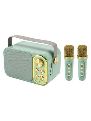 Mini Wireless Bluetooth Speaker 10W Power Home Theater Dual Microphone Speaker