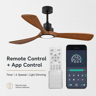 52" Smart Ceiling Fan with Light