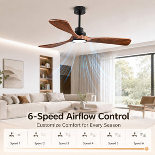 52" Smart Ceiling Fan with Light