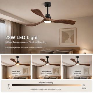 52" Smart Ceiling Fan with Light