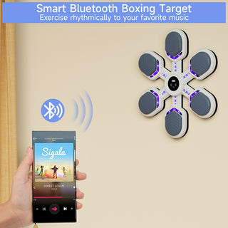 Music Boxing Machine Gym Office 9 Modes & 9 Speeds Boxing Workout Equipment Target for Home Boxing Wall Mount Machine for Adults Teens Smart Bluetooth Punching Trainer with Gloves