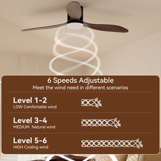 52 Inch Low Profile Ceiling Fan with Remote/App Control
