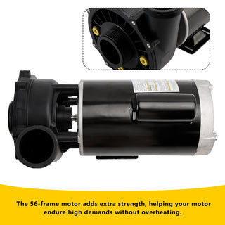 230-Volts Plastics 3721621-1D Executive 56 Frame 4 Horsepower Spa Pump
