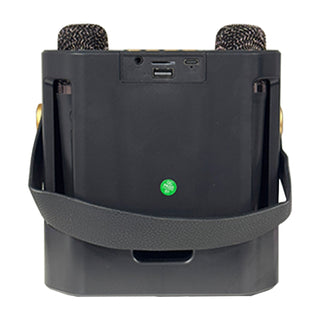 Wireless Bluetooth Speaker Dual Microphone Karaoke Home Theater All-in-One Audio