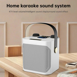 Wireless Bluetooth Speaker Dual Microphone Karaoke Home Theater All-in-One Audio