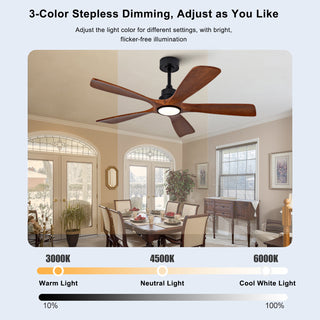 Quiet 60" Ceiling Fan Light