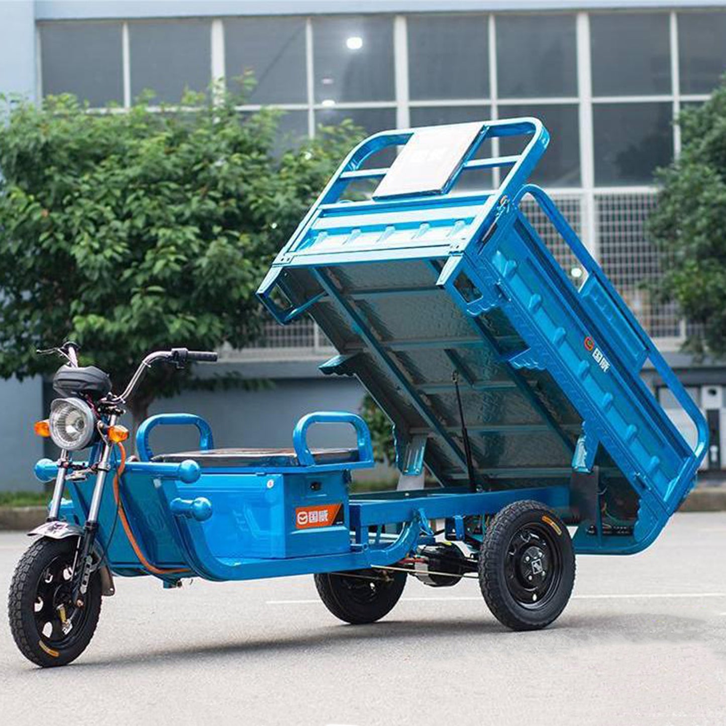 1000W Motor 60V 20Ah Lead Acid Battery Electric Cargo Tricycle 1.8*1.1 Meter