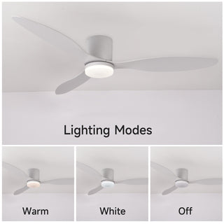 52" 3 Blade LED Indoor Ceiling Fan with Remote Control