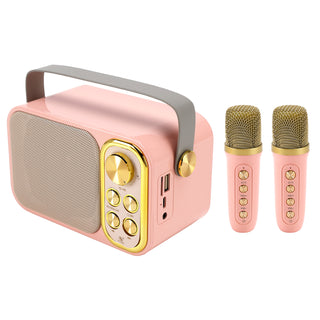 Mini Wireless Bluetooth Speaker 10W Power Home Dual Microphone Speaker Karaoke