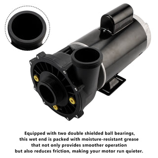 230-Volts Plastics 3721621-1D Executive 56 Frame 4 Horsepower Spa Pump