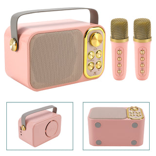 Mini Wireless Bluetooth Speaker 10W Power Home Dual Microphone Speaker Karaoke
