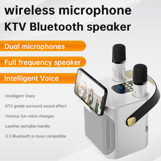 Wireless Bluetooth Speaker Dual Microphone Karaoke Home Theater All-in-One Audio