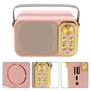 Mini Wireless Bluetooth Speaker 10W Power Home Dual Microphone Speaker Karaoke