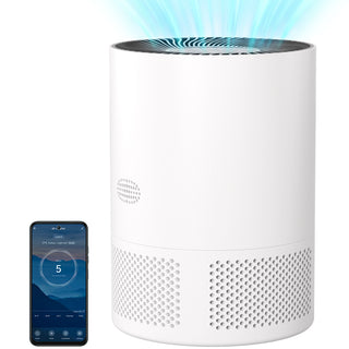 Air Purifiers with H13 Quiet HEPA Filter for Bedroom Home Dorm Dust Filters Smoke Odor Allergens Office Desktop with app Pet Dander