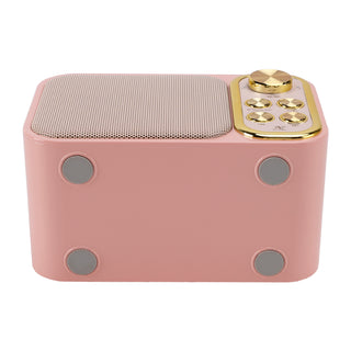 Mini Wireless Bluetooth Speaker 10W Power Home Dual Microphone Speaker Karaoke