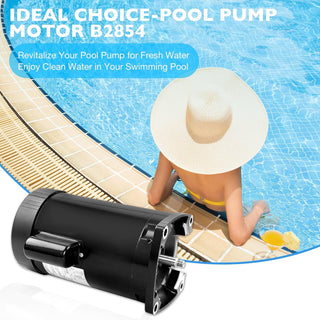 1.5 HP Pool Pump Motor 115/230V Pool Motor B2854V1 B2854