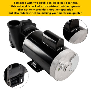 230-Volts Plastics 3721621-1D Executive 56 Frame 4 Horsepower Spa Pump