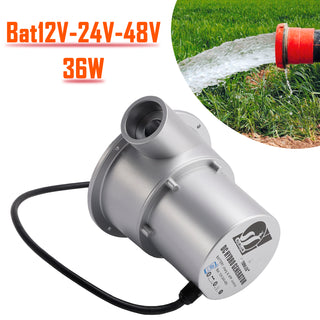 Water Flow Turbine Hydroelectric Generator Bat12V-24V-48V AC Power Generation