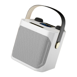 Wireless Bluetooth Speaker Dual Microphone Karaoke Home Theater All-in-One Audio