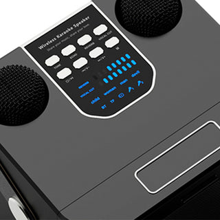 Wireless Bluetooth Speaker Dual Microphone Karaoke Home Theater All-in-One Audio