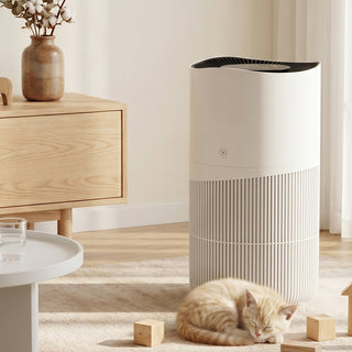 Removing formaldehyde and PM2.5 With app control Smart negative ion air purifier for pets and home use