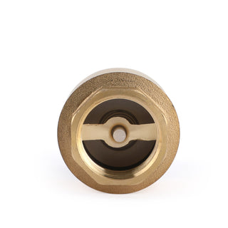 3/4" NPT Inline Check Foot Valve Brass Spring Loaded With Filter 200 PSI