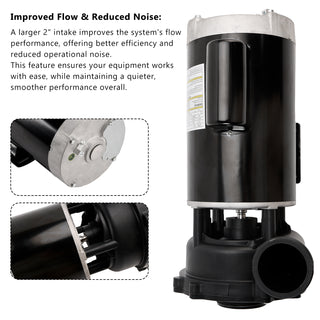 230-Volts Plastics 3721621-1D Executive 56 Frame 4 Horsepower Spa Pump