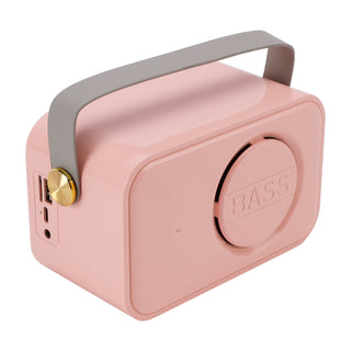 Mini Wireless Bluetooth Speaker 10W Power Home Dual Microphone Speaker Karaoke