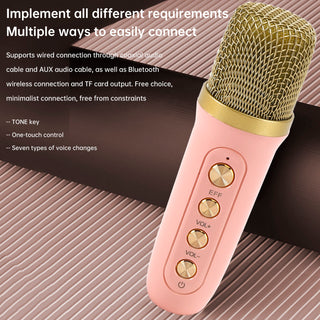 Mini Wireless Bluetooth Speaker 10W Power Home Dual Microphone Speaker Karaoke