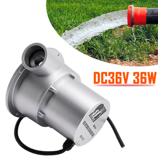 24V Small Hydroelectric Generator DC36V 36W/50W High Efficiency Brushless Motor