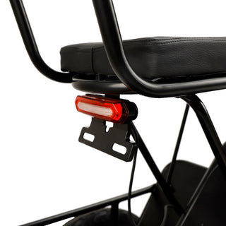 48V 350W Three Wheel Electric Folding Trike Adult E-Tricycle