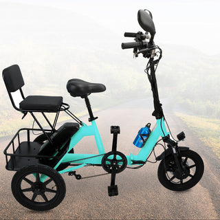 3 Wheel E-Bike Electric tricycle Adult Folding Motorized Tricycle 48V