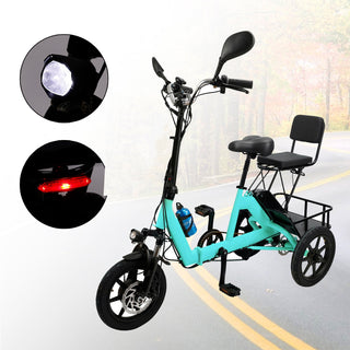 3 Wheel E-Bike Electric tricycle Adult Folding Motorized Tricycle 48V