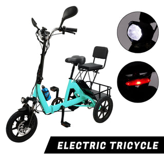 3 Wheel E-Bike Electric tricycle Adult Folding Motorized Tricycle 48V