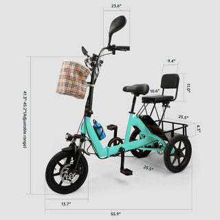 3 Wheel E-Bike Electric tricycle Adult Folding Motorized Tricycle 48V
