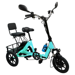 3 Wheel E-Bike Electric tricycle Adult Folding Motorized Tricycle 48V