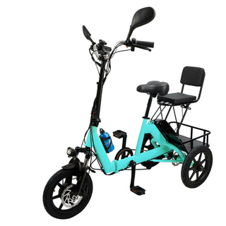 3 Wheel E-Bike Electric tricycle Adult Folding Motorized Tricycle 48V