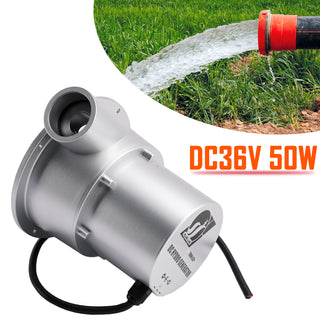 24V Small Hydroelectric Generator DC36V 36W/50W High Efficiency Brushless Motor