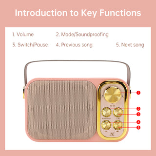 Mini Wireless Bluetooth Speaker 10W Power Home Dual Microphone Speaker Karaoke