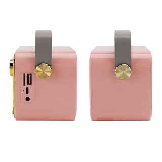 Mini Wireless Bluetooth Speaker 10W Power Home Dual Microphone Speaker Karaoke