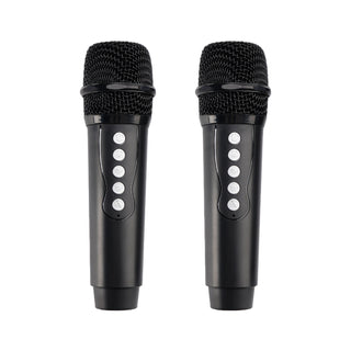 Wireless Bluetooth Speaker High Power Dual Microphone Karaoke All-in-One Audio