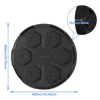 Wall Mount Boxing Target Bluetooth Music Indoor React Machine