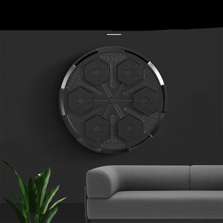 Wall Mount Boxing Target Bluetooth Music Indoor React Machine