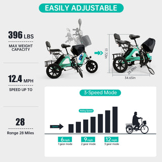 3 Wheel E-Bike Electric tricycle Adult Folding Motorized Tricycle 48V