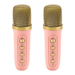 Mini Wireless Bluetooth Speaker 10W Power Home Dual Microphone Speaker Karaoke
